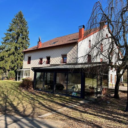 Ferme Des Jonquilles 15P - Billard, Ps4, Salle De Sport Gérardmer Zewnętrze zdjęcie