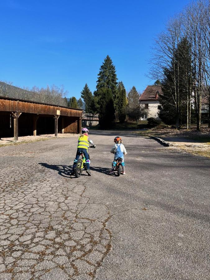 Ferme Des Jonquilles 15P - Billard, Ps4, Salle De Sport Gérardmer Zewnętrze zdjęcie